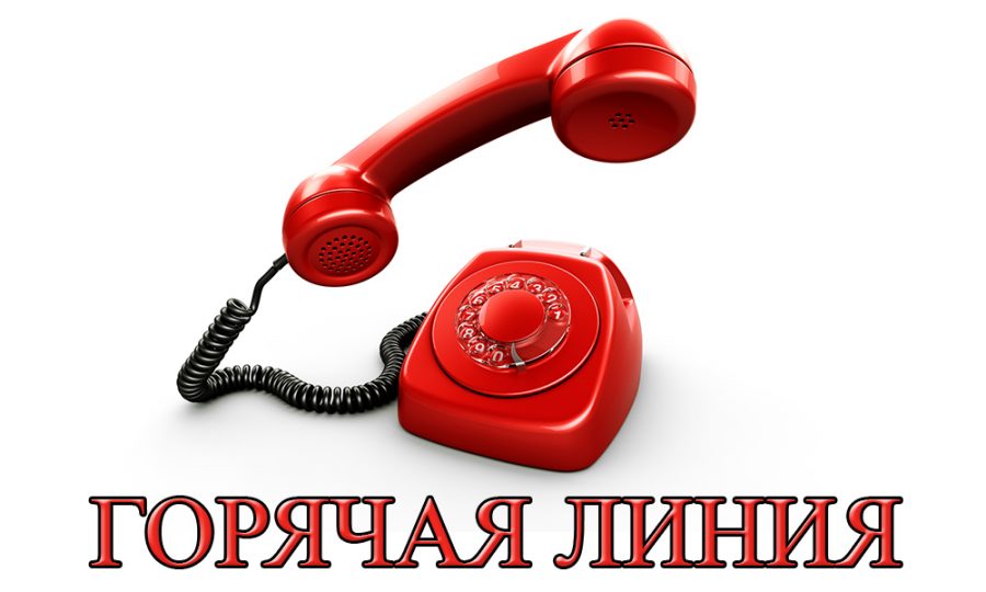 Телефон “горячей линии” по организации дистанционного обучения